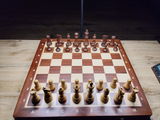 Marek review photo