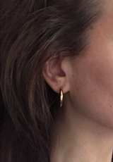 alev review photo