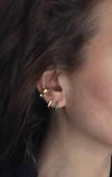 alev review photo