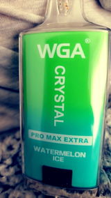 Nora Kovacs review photo