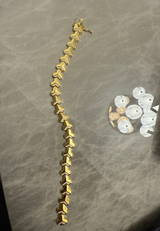 CarlB review photo
