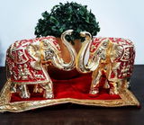 Punita Kushwaha review photo