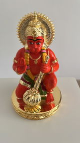 Brijesh Patel review photo