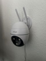 Shawn Shwan review photo