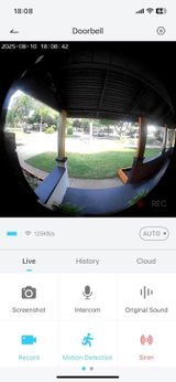 Luis review photo