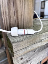 CJF review photo