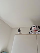 Mymyne review photo