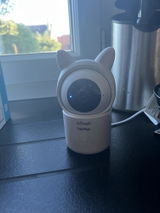 dylan d. review photo