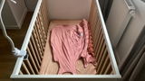 ANTO review photo