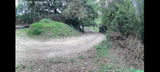 Forest review photo
