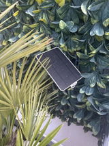 DALMASSO review photo