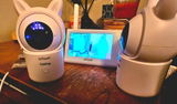 Joe M review photo