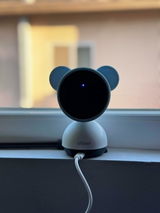Tony G review photo