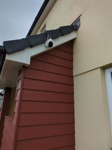 Amazon Customer review photo