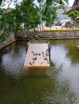 匿名 review photo