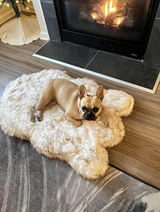 Danni Lockerbie review photo
