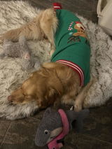RunnerVet review photo
