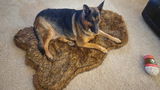 Trista Schiff review photo