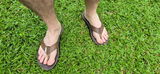 Stanford Acres review photo