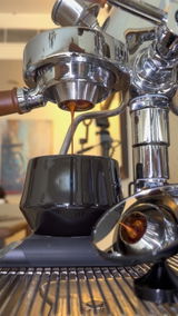 3B Bean Brew Build review photo