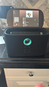 Vanessa V review photo