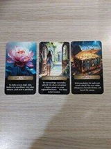 E.E. review photo