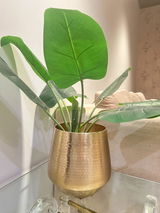 Rahul Aanand review photo