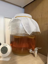 Catargiu Bogdan review photo