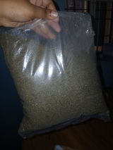 Divya review photo