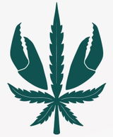 DUNGENESS DANK review photo
