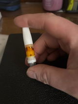DGL review photo
