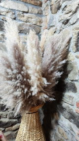 Luca Chiocchetti review photo