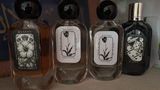 Mohamed Abdelrahman review photo