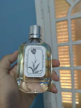Ahmed Essam review photo