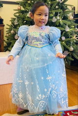 New Frozen 2 Elsa Dresses Princess Girl Costume Dresses Halloween Party Holiday