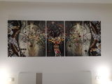 Renato Corradin review photo