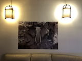 Giuseppe Iapicca review photo
