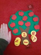 Learn Numbers