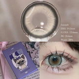 eye2son review photo