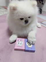 iceei review photo