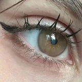 Kaj review photo