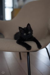 nunu review photo