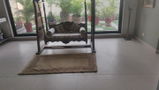 Farzana H. review photo