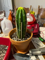 Devon G. review photo