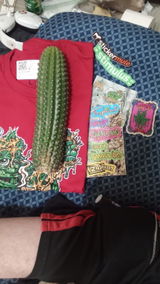 Pocket fulla shrooms review photo