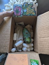 IDontHaveMushroom review photo