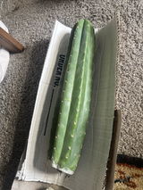 T. review photo
