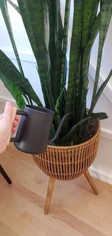 Amazon Customer review photo