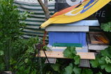 Manfrede Puschner Rentner bin 75 Jahre Alt review photo