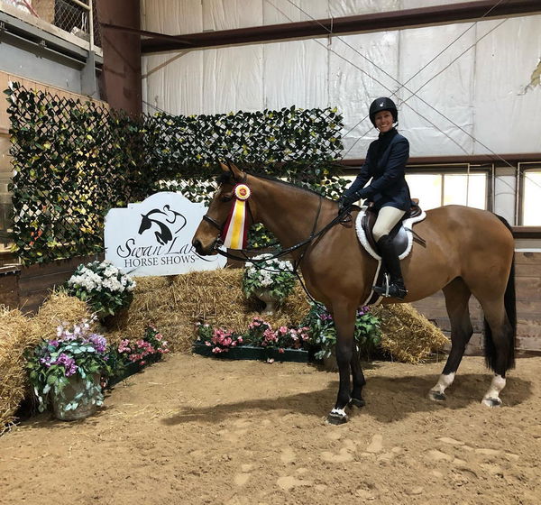 Rider on a bay horse with a show ribbon in an indoor arena